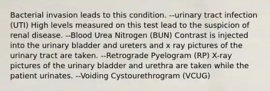 Bacterial invasion leads to this condition. --urinary tract infection (UTI) High levels measured on this test lead to the suspicion of renal disease. --Blood Urea Nitrogen (BUN) Contrast is injected into the urinary bladder and ureters and x ray pictures of the urinary tract are taken. --Retrograde Pyelogram (RP) X-ray pictures of the urinary bladder and urethra are taken while the patient urinates. --Voiding Cystourethrogram (VCUG)