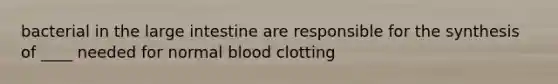 bacterial in the large intestine are responsible for the synthesis of ____ needed for normal blood clotting