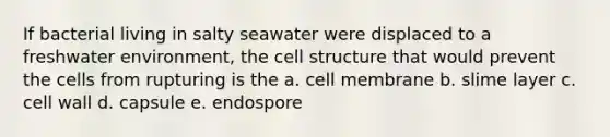 If bacterial living in salty seawater were displaced to a freshwater environment, the cell structure that would prevent the cells from rupturing is the a. cell membrane b. slime layer c. cell wall d. capsule e. endospore