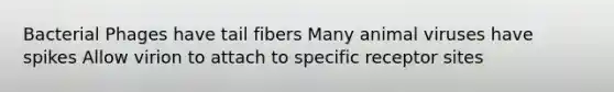 Bacterial Phages have tail fibers Many animal viruses have spikes Allow virion to attach to specific receptor sites