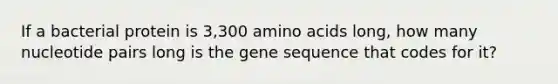 If a bacterial protein is 3,300 amino acids long, how many nucleotide pairs long is the gene sequence that codes for it?