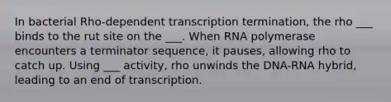 In bacterial Rho-dependent transcription termination, the rho ___ binds to the rut site on the ___. When RNA polymerase encounters a terminator sequence, it pauses, allowing rho to catch up. Using ___ activity, rho unwinds the DNA-RNA hybrid, leading to an end of transcription.