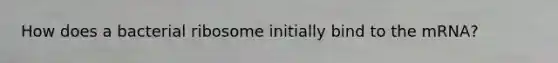 How does a bacterial ribosome initially bind to the mRNA?