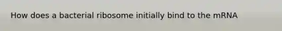 How does a bacterial ribosome initially bind to the mRNA