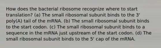 How does the bacterial ribosome recognize where to start translation? (a) The small ribosomal subunit binds to the 3' poly(A) tail of the mRNA. (b) The small ribosomal subunit binds to the start codon. (c) The small ribosomal subunit binds to a sequence in the mRNA just upstream of the start codon. (d) The small ribosomal subunit binds to the 5' cap of the mRNA.