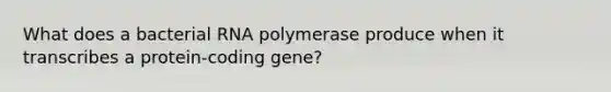 What does a bacterial RNA polymerase produce when it transcribes a protein-coding gene?