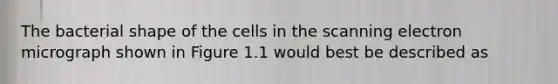 The bacterial shape of the cells in the scanning electron micrograph shown in Figure 1.1 would best be described as