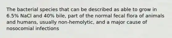 The bacterial species that can be described as able to grow in 6.5% NaCl and 40% bile, part of the normal fecal flora of animals and humans, usually non-hemolytic, and a major cause of nosocomial infections