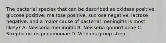 The bacterial species that can be described as oxidase positive, glucose positive, maltose positive, sucrose negative, lactose negative, and a major cause of bacterial meningitis is most likely? A. Neisseria meningitis B. Neisseria gonorrhoeae C. Streptococcus pneumoniae D. Viridans group strep