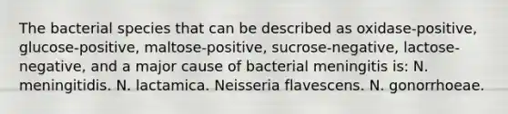 The bacterial species that can be described as oxidase-positive, glucose-positive, maltose-positive, sucrose-negative, lactose-negative, and a major cause of bacterial meningitis is: N. meningitidis. N. lactamica. Neisseria flavescens. N. gonorrhoeae.