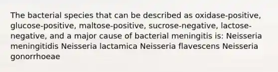 The bacterial species that can be described as oxidase-positive, glucose-positive, maltose-positive, sucrose-negative, lactose-negative, and a major cause of bacterial meningitis is: Neisseria meningitidis Neisseria lactamica Neisseria flavescens Neisseria gonorrhoeae