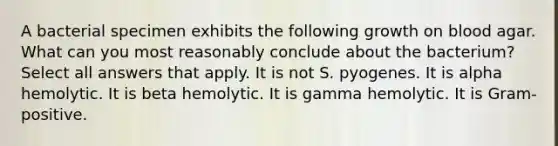 A bacterial specimen exhibits the following growth on blood agar. What can you most reasonably conclude about the bacterium? Select all answers that apply. It is not S. pyogenes. It is alpha hemolytic. It is beta hemolytic. It is gamma hemolytic. It is Gram-positive.
