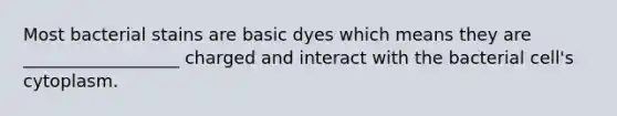 Most bacterial stains are basic dyes which means they are __________________ charged and interact with the bacterial cell's cytoplasm.