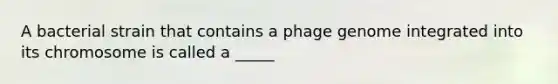 A bacterial strain that contains a phage genome integrated into its chromosome is called a _____