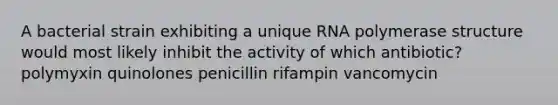 A bacterial strain exhibiting a unique RNA polymerase structure would most likely inhibit the activity of which antibiotic? polymyxin quinolones penicillin rifampin vancomycin