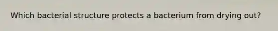 Which bacterial structure protects a bacterium from drying out?