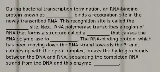 During bacterial transcription termination, an RNA-binding protein known as ____________ binds a recognition site in the newly transcribed RNA. This recognition site is called the __________ site. Next, RNA polymerase transcribes a region of RNA that forms a structure called a __________ that causes the ENA polymerase to ____________. The RNA-binding protein, which has been moving down the RNA strand towards the 3' end, catches up with the open complex, breaks the hydrogen bonds between the DNA and RNA, separating the completed RNA strand from the DNA and this enzyme, ___________.