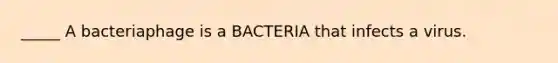 _____ A bacteriaphage is a BACTERIA that infects a virus.