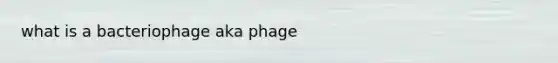 what is a bacteriophage aka phage