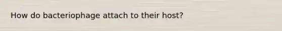 How do bacteriophage attach to their host?