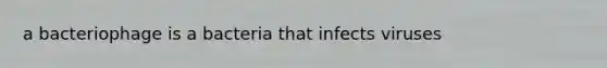 a bacteriophage is a bacteria that infects viruses