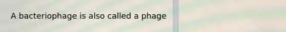 A bacteriophage is also called a phage