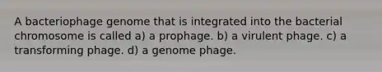 A bacteriophage genome that is integrated into the bacterial chromosome is called a) a prophage. b) a virulent phage. c) a transforming phage. d) a genome phage.