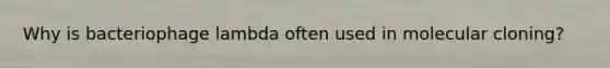 Why is bacteriophage lambda often used in molecular cloning?