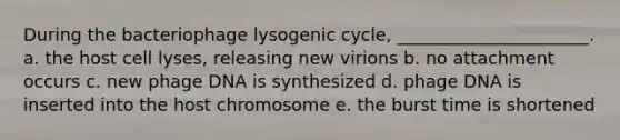 During the bacteriophage lysogenic cycle, ______________________. a. the host cell lyses, releasing new virions b. no attachment occurs c. new phage DNA is synthesized d. phage DNA is inserted into the host chromosome e. the burst time is shortened