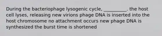 During the bacteriophage lysogenic cycle, __________. the host cell lyses, releasing new virions phage DNA is inserted into the host chromosome no attachment occurs new phage DNA is synthesized the burst time is shortened