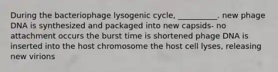 During the bacteriophage lysogenic cycle, __________. new phage DNA is synthesized and packaged into new capsids- no attachment occurs the burst time is shortened phage DNA is inserted into the host chromosome the host cell lyses, releasing new virions