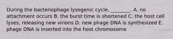 During the bacteriophage lysogenic cycle, ________. A. no attachment occurs B. the burst time is shortened C. the host cell lyses, releasing new virions D. new phage DNA is synthesized E. phage DNA is inserted into the host chromosome