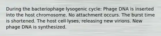 During the bacteriophage lysogenic cycle: Phage DNA is inserted into the host chromosome. No attachment occurs. The burst time is shortened. The host cell lyses, releasing new virions. New phage DNA is synthesized.