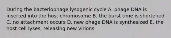 During the bacteriophage lysogenic cycle A. phage DNA is inserted into the host chromosome B. the burst time is shortened C. no attachment occurs D. new phage DNA is synthesized E. the host cell lyses, releasing new virions