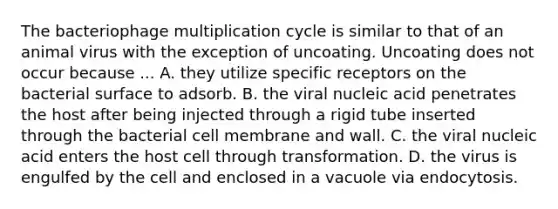 The bacteriophage multiplication cycle is similar to that of an animal virus with the exception of uncoating. Uncoating does not occur because ... A. they utilize specific receptors on the bacterial surface to adsorb. B. the viral nucleic acid penetrates the host after being injected through a rigid tube inserted through the bacterial cell membrane and wall. C. the viral nucleic acid enters the host cell through transformation. D. the virus is engulfed by the cell and enclosed in a vacuole via endocytosis.