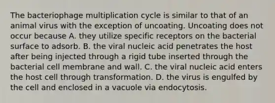 The bacteriophage multiplication cycle is similar to that of an animal virus with the exception of uncoating. Uncoating does not occur because A. they utilize specific receptors on the bacterial surface to adsorb. B. the viral nucleic acid penetrates the host after being injected through a rigid tube inserted through the bacterial cell membrane and wall. C. the viral nucleic acid enters the host cell through transformation. D. the virus is engulfed by the cell and enclosed in a vacuole via endocytosis.