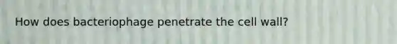 How does bacteriophage penetrate the cell wall?