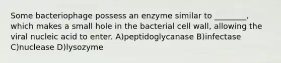 Some bacteriophage possess an enzyme similar to ________, which makes a small hole in the bacterial cell wall, allowing the viral nucleic acid to enter. A)peptidoglycanase B)infectase C)nuclease D)lysozyme