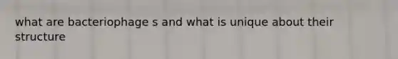 what are bacteriophage s and what is unique about their structure