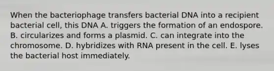 When the bacteriophage transfers bacterial DNA into a recipient bacterial cell, this DNA A. triggers the formation of an endospore. B. circularizes and forms a plasmid. C. can integrate into the chromosome. D. hybridizes with RNA present in the cell. E. lyses the bacterial host immediately.