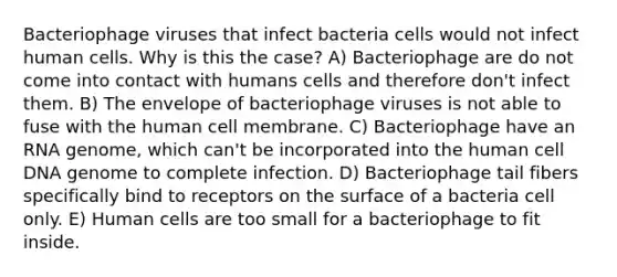 Bacteriophage viruses that infect bacteria cells would not infect human cells. Why is this the case? A) Bacteriophage are do not come into contact with humans cells and therefore don't infect them. B) The envelope of bacteriophage viruses is not able to fuse with the human cell membrane. C) Bacteriophage have an RNA genome, which can't be incorporated into the human cell DNA genome to complete infection. D) Bacteriophage tail fibers specifically bind to receptors on the surface of a bacteria cell only. E) Human cells are too small for a bacteriophage to fit inside.