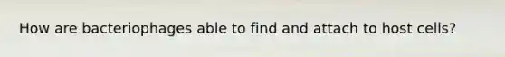 How are bacteriophages able to find and attach to host cells?