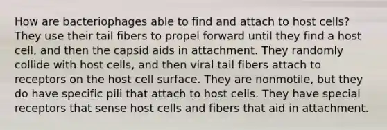 How are bacteriophages able to find and attach to host cells? They use their tail fibers to propel forward until they find a host cell, and then the capsid aids in attachment. They randomly collide with host cells, and then viral tail fibers attach to receptors on the host cell surface. They are nonmotile, but they do have specific pili that attach to host cells. They have special receptors that sense host cells and fibers that aid in attachment.