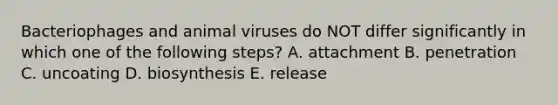 Bacteriophages and animal viruses do NOT differ significantly in which one of the following steps? A. attachment B. penetration C. uncoating D. biosynthesis E. release