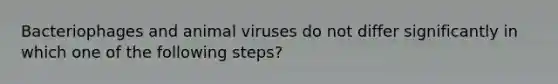 Bacteriophages and animal viruses do not differ significantly in which one of the following steps?