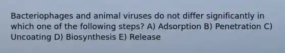 Bacteriophages and animal viruses do not differ significantly in which one of the following steps? A) Adsorption B) Penetration C) Uncoating D) Biosynthesis E) Release