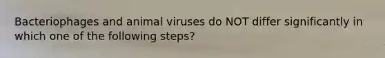 Bacteriophages and animal viruses do NOT differ significantly in which one of the following steps?