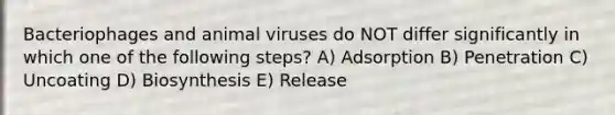 Bacteriophages and animal viruses do NOT differ significantly in which one of the following steps? A) Adsorption B) Penetration C) Uncoating D) Biosynthesis E) Release