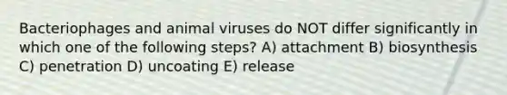 Bacteriophages and animal viruses do NOT differ significantly in which one of the following steps? A) attachment B) biosynthesis C) penetration D) uncoating E) release