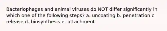 Bacteriophages and animal viruses do NOT differ significantly in which one of the following steps? a. uncoating b. penetration c. release d. biosynthesis e. attachment